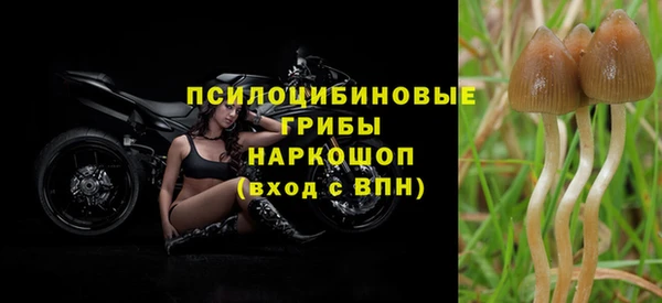 эйфоретик Абаза